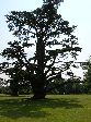 2006-0608-1206-51.jpg